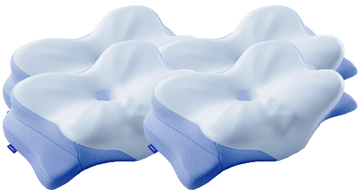 4 Derila Pillows (3+1 Free)