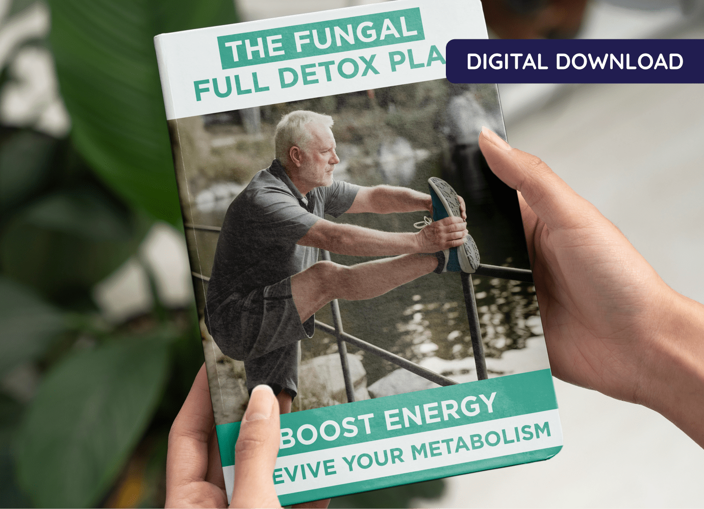 The Fungal Full Detox Plan: Boost Energy & Revive Your Metabolism
